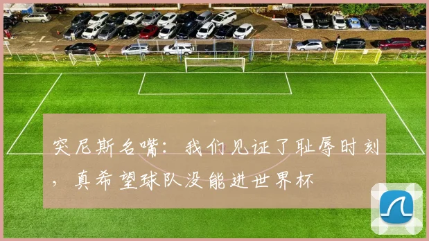 突尼斯名嘴：我们见证了耻辱时刻，真希望球队没能进世界杯